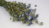 Nigella - 1 Strauß - Naturfarbe blau