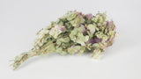 Oregano Kent Blumen getrocknet - 1 Bund - Naturfarbe - Si-nature