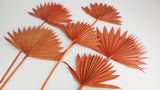 Palm Sun - 6 tallos - Ámbar