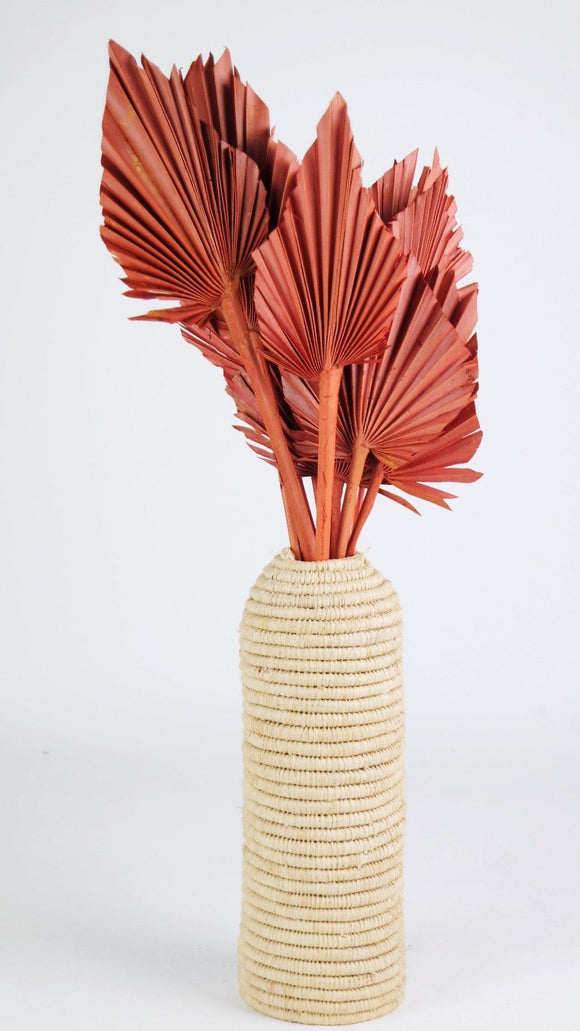 Fächerpalme getrocknet M - 10 Stiele - Terracotta