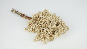 Pfefferbeeren - Karton mit 15 Bündeln - Gebleicht Creme