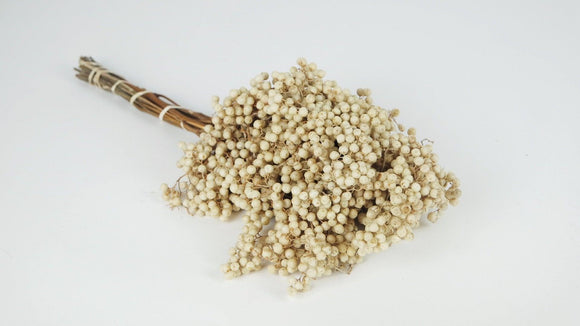 Pfefferbeeren - Karton mit 15 Bündeln - Gebleicht Creme