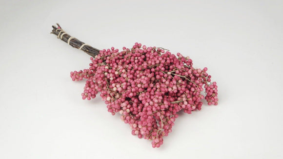 Pfefferbeeren - Karton mit 15 Bündeln - Naturfarbe rosa