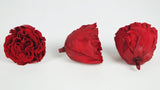 Stabilisierte Rosen Romantik 5 cm - 6 Stück - Hellrot