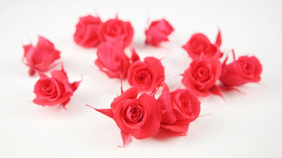 Stabilisierte Rosen 3 cm - 12 Stück - Rosa