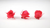 Stabilisierte Rosen 3 cm - 12 Stück - Rosa