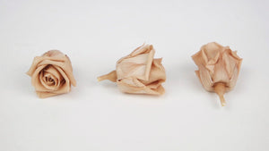 Stabilisierte Rosen Kiara 3 cm - 9 Stück - Nude - Si-nature