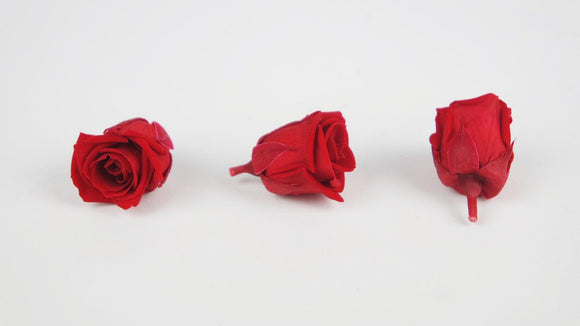 Stabilisierte Rosen Kiara 3 cm - 9 Stück - Vibrant red - Si-nature