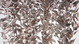 Ruskus getrocknet - 1 Bund - Warm gold