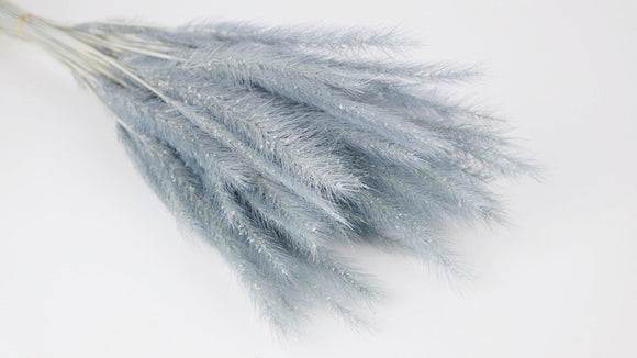 Tail Gras - 1 Bund - Blaugrau