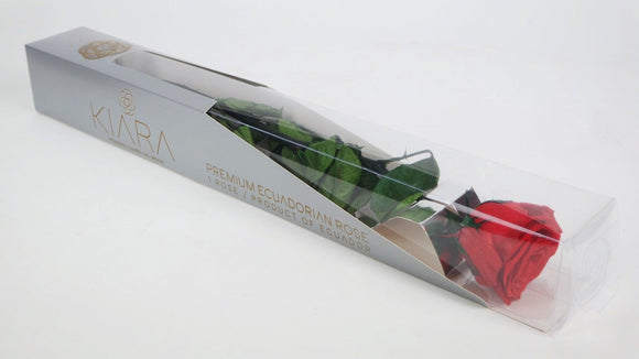 Luxus konservierte Rose mit Stiel 30 cm Kiara  - 25 Stück - Vibrant red