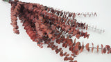 Konservierter Eukalyptus Baby blue - 1 Bund - Rot
